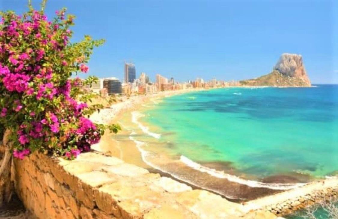 Apartment With Pool & Balcony Less Than 10Min Walk To La Mata Beach! Торевиеха Екстериор снимка