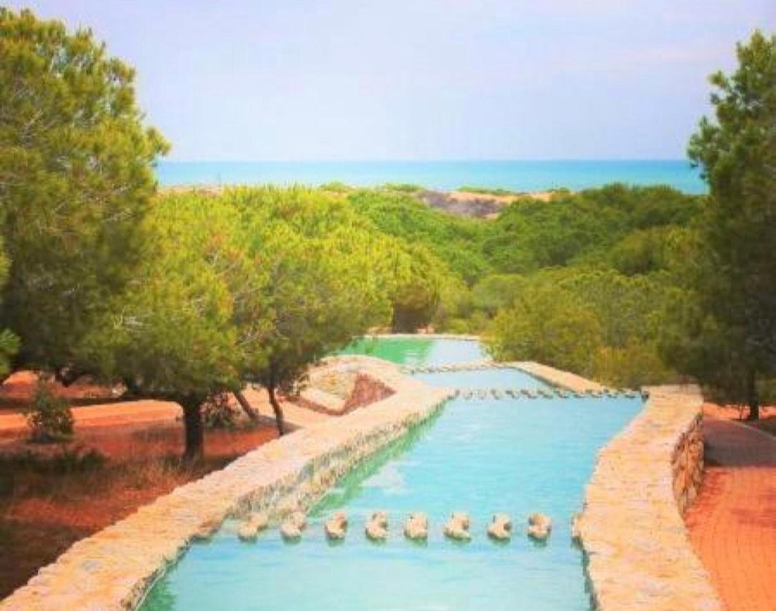 Apartment With Pool & Balcony Less Than 10Min Walk To La Mata Beach! Торевиеха Екстериор снимка